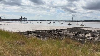 Peaceful moments by the estuary 🌾⛵
Low tide reveals the rugged beauty of the shoreline, with sailboats gently resting on calm waters and industrial cranes standing tall in the distance. A perfect blend of nature and industry under a dramatic summer sky. 🌥️✨

#EstuaryVibes #CoastalWalks #LowTide #SailboatViews #NatureAndIndustry #TranquilWaters #SummerByTheWater #BritishCoastline #HiddenBeauty #CloudySkies #MaritimeMoments #WatersideWander