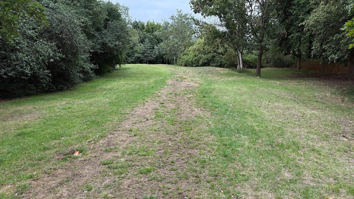 A peaceful walk through nature 🍃🌿 This quiet trail winds its way through lush greenery and tall trees, offering a moment of calm and connection with the outdoors. Perfect spot to unwind and recharge 🌳✨

#NatureWalk #PeacefulPath #GreenEscape #IntoTheWoods #CountrysideVibes #NatureLovers #WalkingTrail #ForestTherapy #NaturePhotography #SereneScenery #ExploreOutdoors #QuietMoments #WanderMore