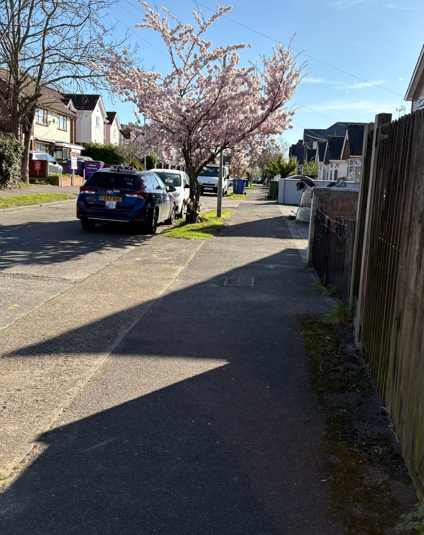 Spring has spung

#spring #blossom #tree #blossomtree #sun #sunny #morning #bluesky